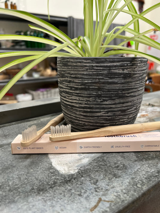 Bamboo Toothbrush